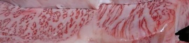 食いしん坊料理人's header image