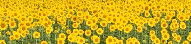 3世帯の嫁's header image