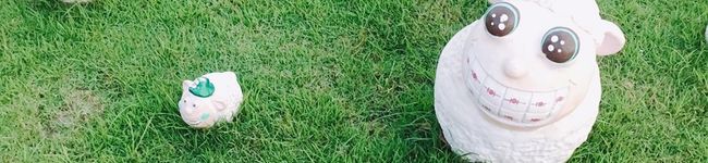 Tonochin's header image