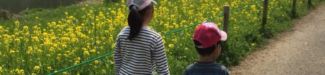 halu0226's header image