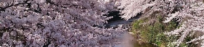 トンマンまる's header image