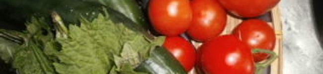 jyamaica's header image