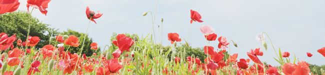 RoomA's header image