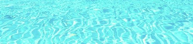 miyama55's header image