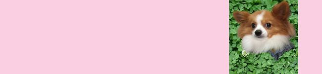 sapporosnoopy's header image