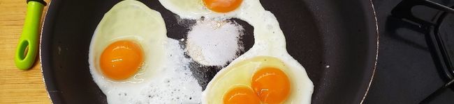 ROXYLIFE's header image