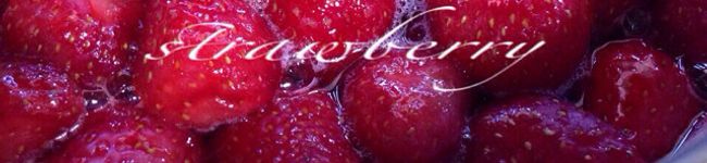 choco₍•ɞ•₎'s header image