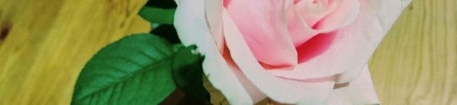 ははぁ's header image