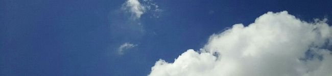 aoba222's header image