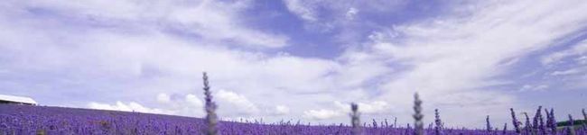 ☆のんちゃみ☆'s header image