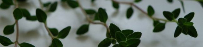 クッキングバーバー's header image