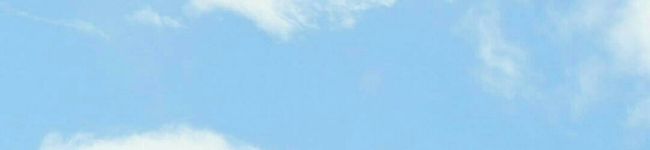 かめの空's header image