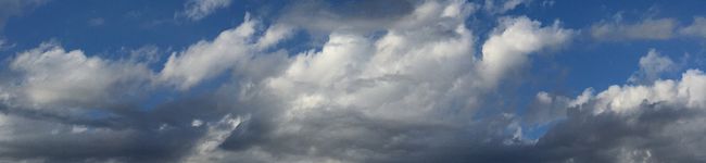 kakuta31's header image