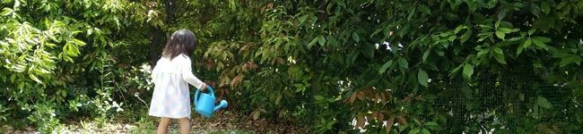 雨好き's header image
