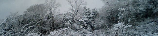 IloveQoo's header image