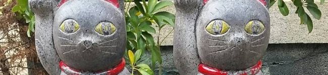 kimiayumi's header image