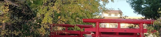 Niceshot's header image