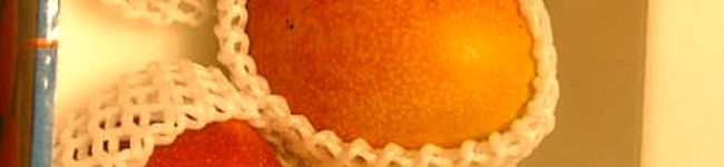 mocha2's header image