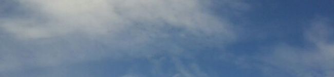 toretoretora's header image