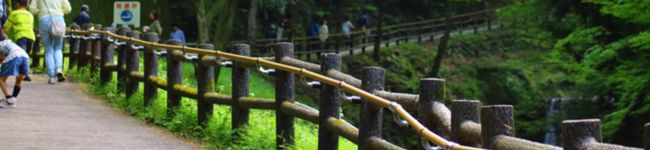 Maria3969's header image