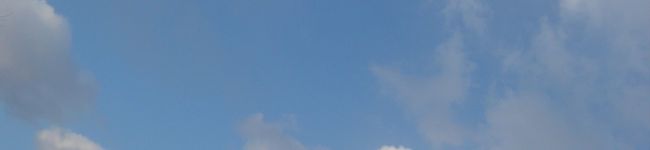 パティコ's header image