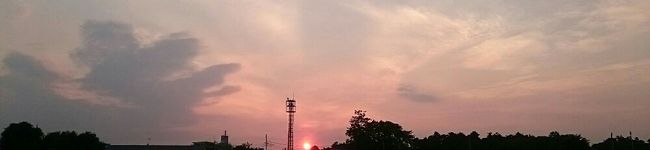 メグ1223's header image