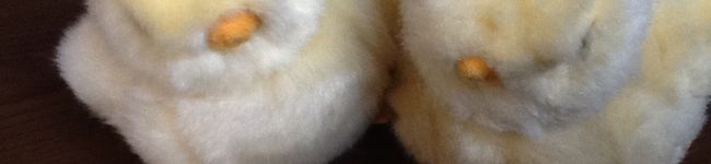 punk's header image
