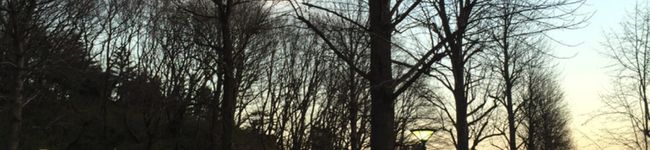 ＊Snoooow＊'s header image