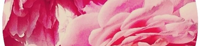 まめおﾁｬﾝ's header image