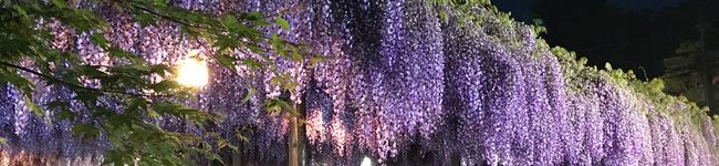 夕飯は6時です's header image