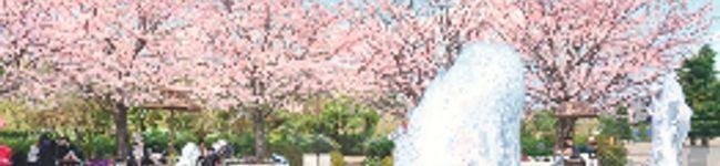 まるぶたや's header image