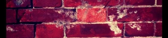 eriko_315's header image