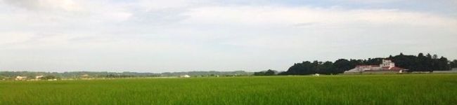 田舎の親父さん's header image