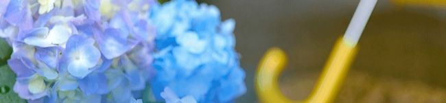 kouki⭐'s header image