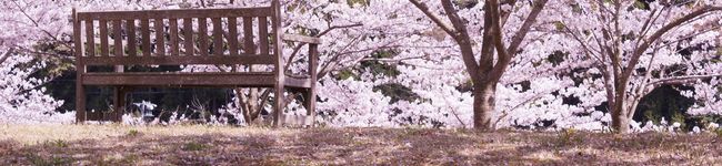 SHIYA2001's header image