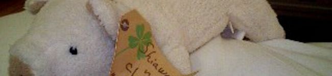 yaichin's header image
