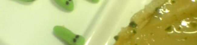 ーうちー's header image