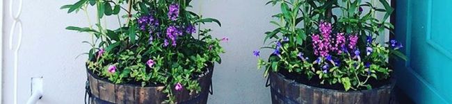 かんぴぃ's header image