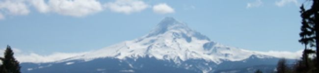 nyaogo's header image