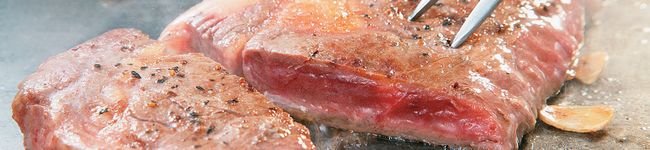 諸君私は肉が好きだ's header image