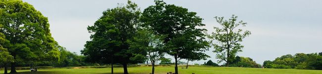 ☆sleep's header image