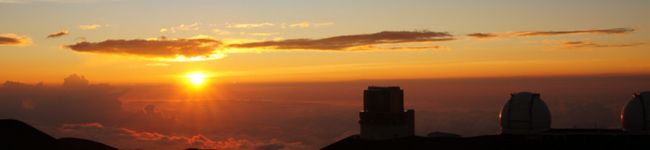 _micco's header image