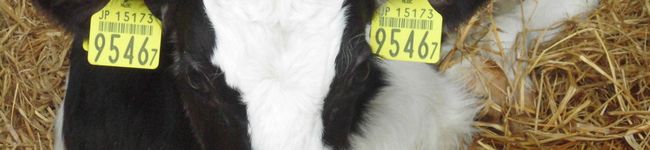milkywhey's header image