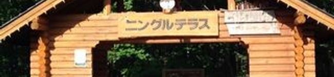 わんこ母ちゃん's header image