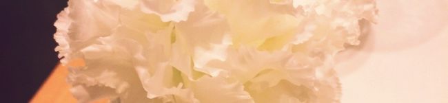 ooさだはるoo's header image