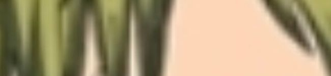 𝙺𝚘𝚔𝚘𝚛𝚘's header image