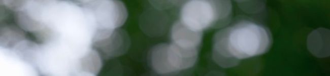 somane's header image