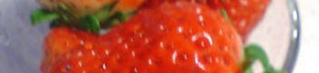 ナース服's header image
