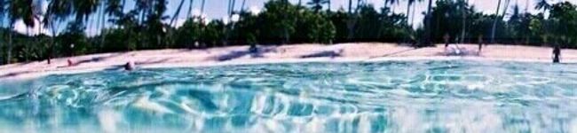 nayuu12's header image