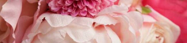 さっくぅ's header image